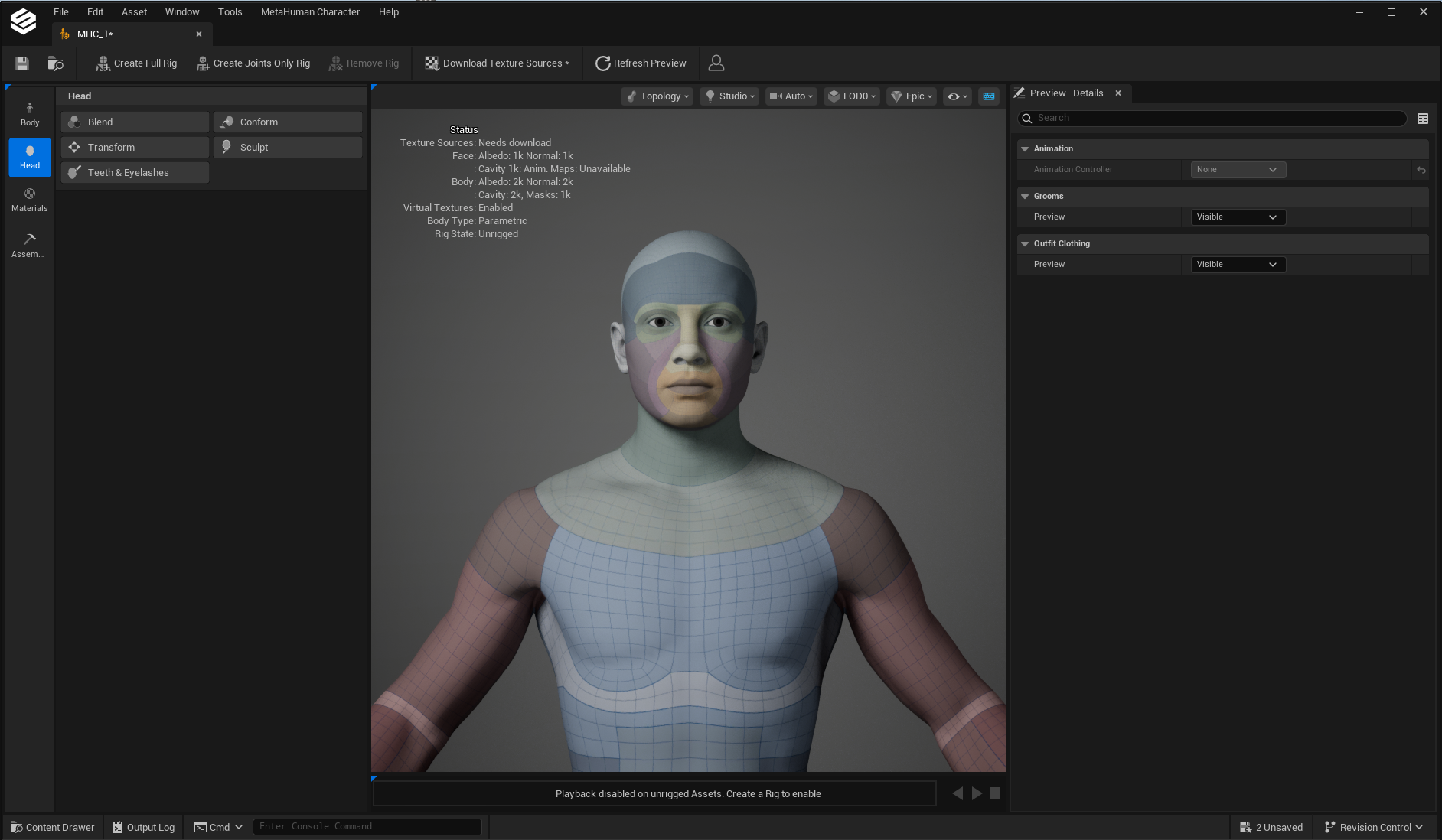 MetaHuman character editor