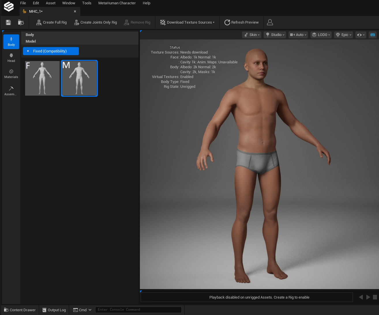 Body section with body type options