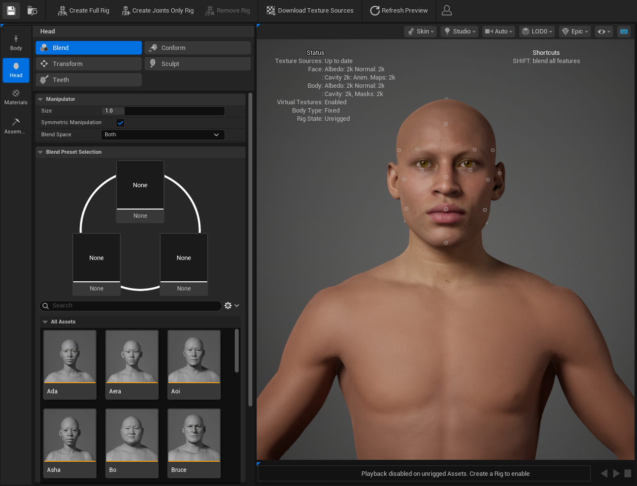 Head sculpting section