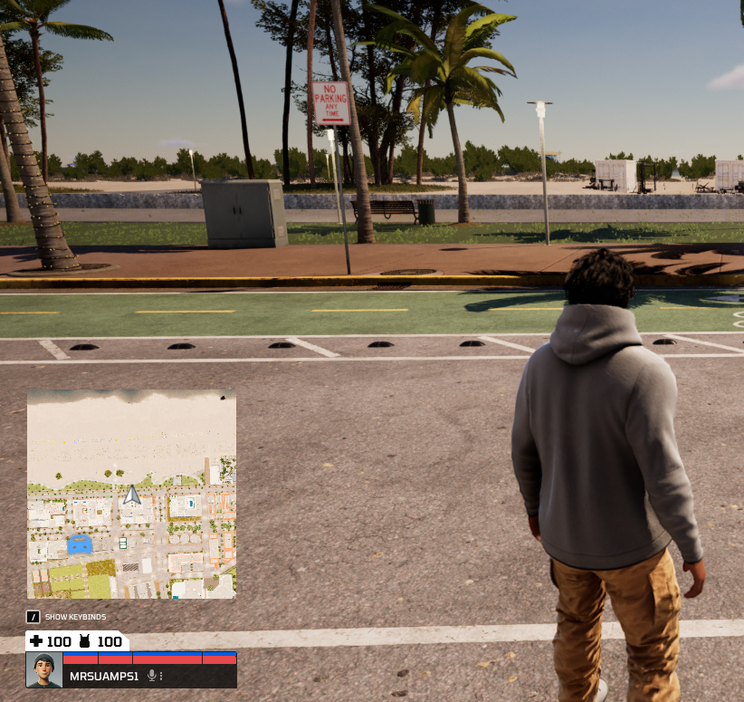 The corner minimap on the HUD